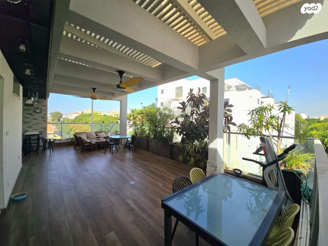 דופלקס, תל חי 71, מזרחי א, כפר סבא