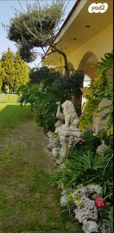 דרך האתרוג 1