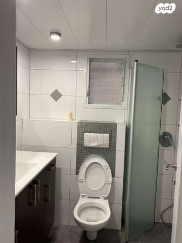 שיטה מלבינה 44