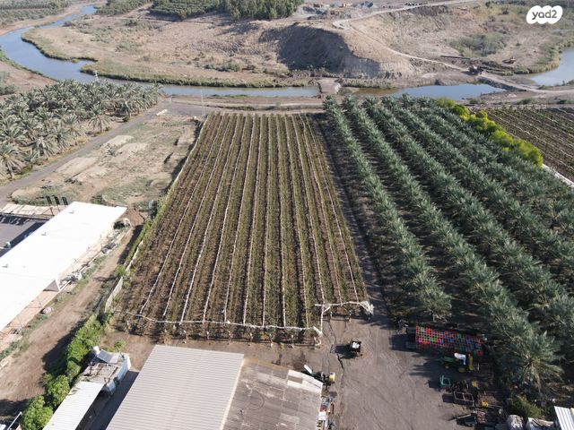 משק חקלאי/ נחלה, מנחמיה