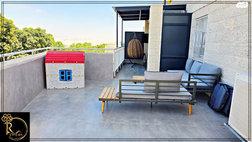 דירה, הכרכום, צמח השדה, מעלה אדומים