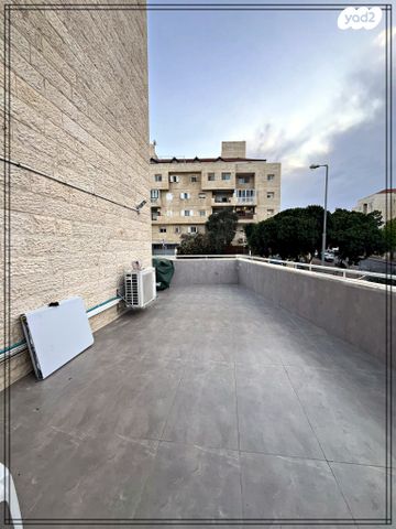 דירה, הכרכום, צמח השדה, מעלה אדומים