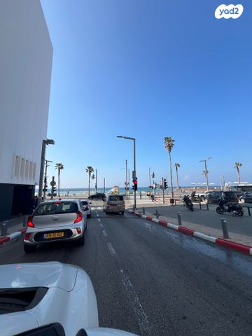 דירה, פרישמן, הצפון הישן - דרום, תל אביב יפו