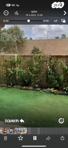 דירת גן, הרצליה