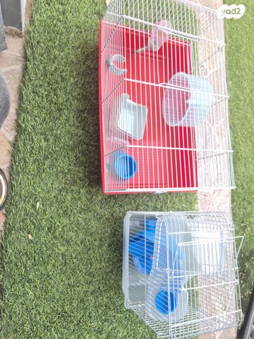 תמונת מודעה - חיות מחמד