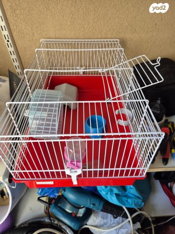 אביזרים | כלוב