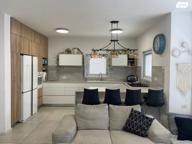 זכריה הרופא 13