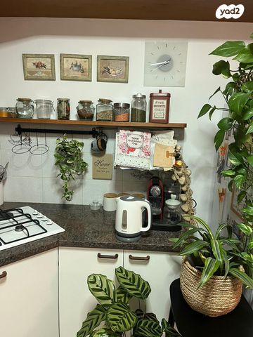 דירה, אלכסנדר זייד 60, קרית חיים מזרחית, חיפה