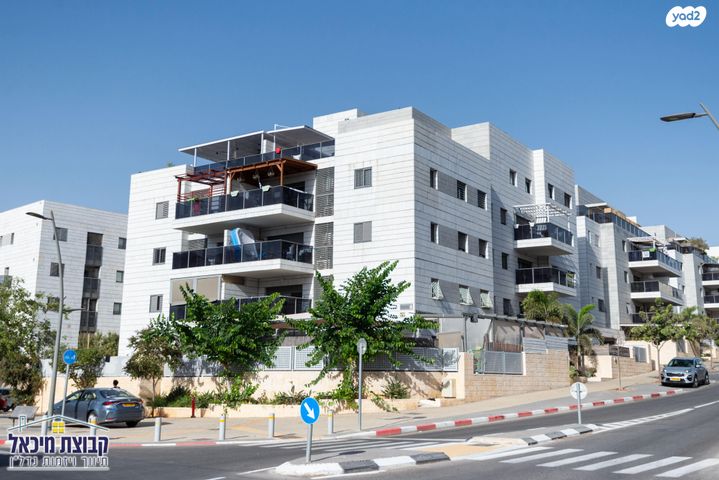 גרטרוד עליון 13