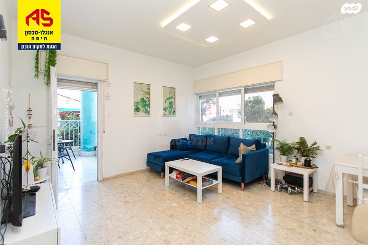 דירה, בעל שם טוב, המיימוני, חיפה