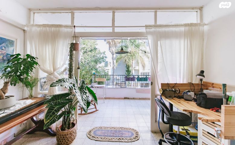 אהרון אייזנברג 