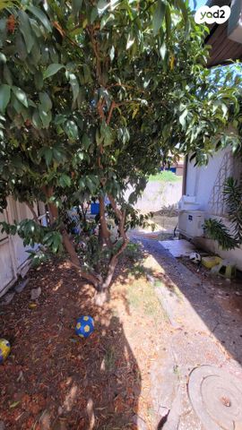 בית פרטי/ קוטג', קרית אונו