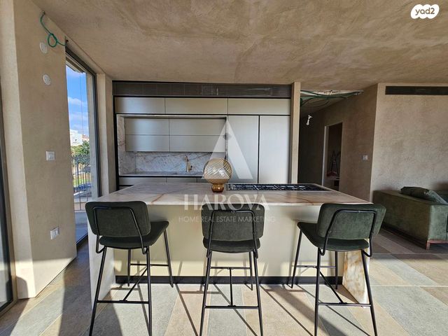 גג/ פנטהאוז, קדם, עג'מי, גבעת העליה, תל אביב יפו