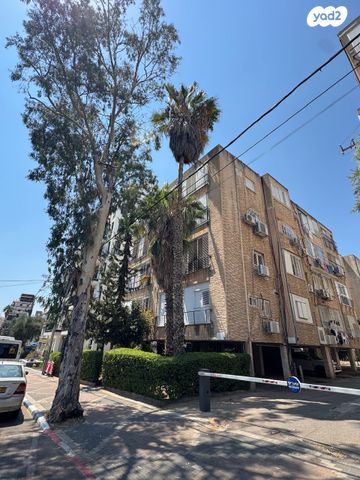 דוד פרנקפורטר 