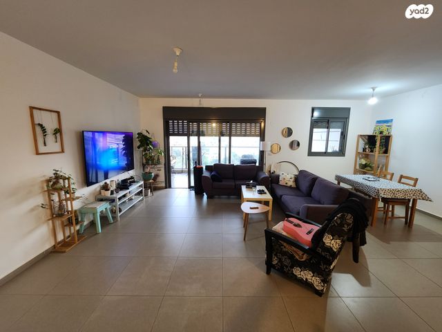 אלישע הנביא 