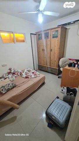 דירה, עמוס, נשר