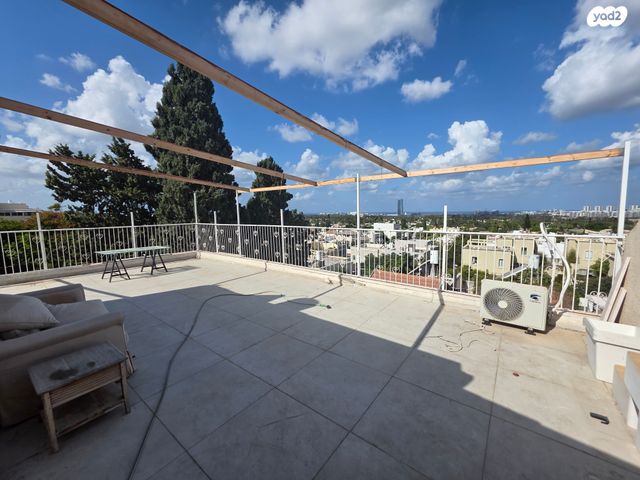 ברנשטיין כהן 