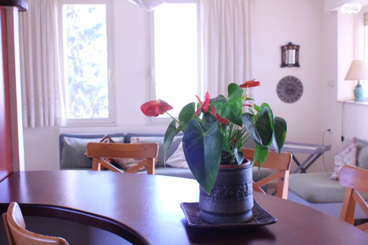 גג/ פנטהאוז, גיחון, גבעת חנניה, אבו תור, ירושלים