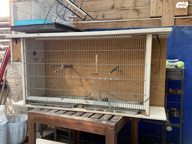 תמונת מודעה - חיות מחמד