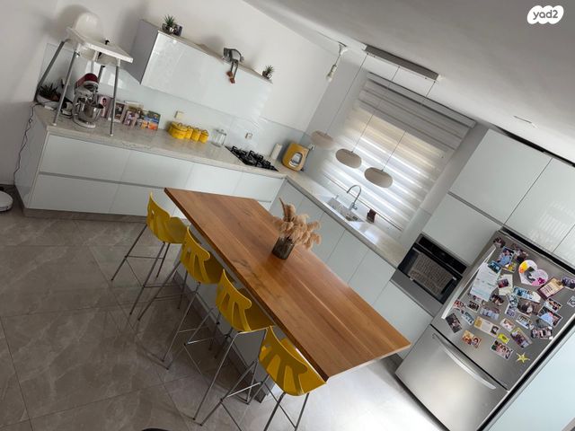 דוד פדרמן 12