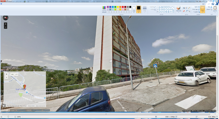 ליאון בלום 2