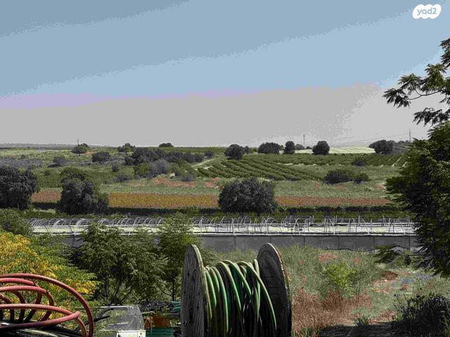 משק חקלאי/ נחלה, גבעת ניל"י