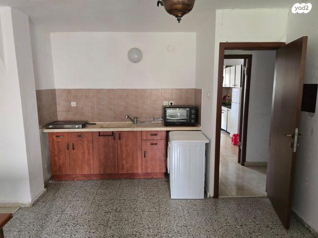 אלעזר בן יאיר 