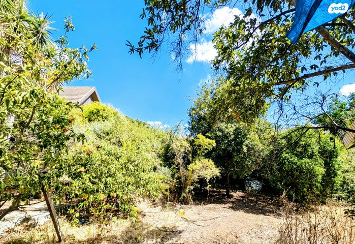 בית פרטי/ קוטג', הפרטיזנים, נס ציונה