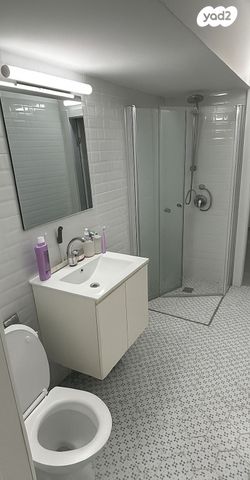 משה גוט לוין 