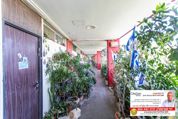 דירה, ליאון בלום 2, רמת הדר, חיפה