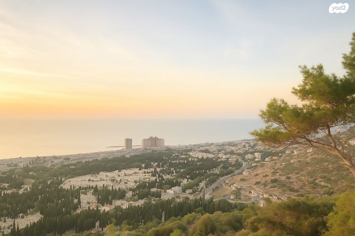 דירה, ויצ"ו, כרמליה, חיפה