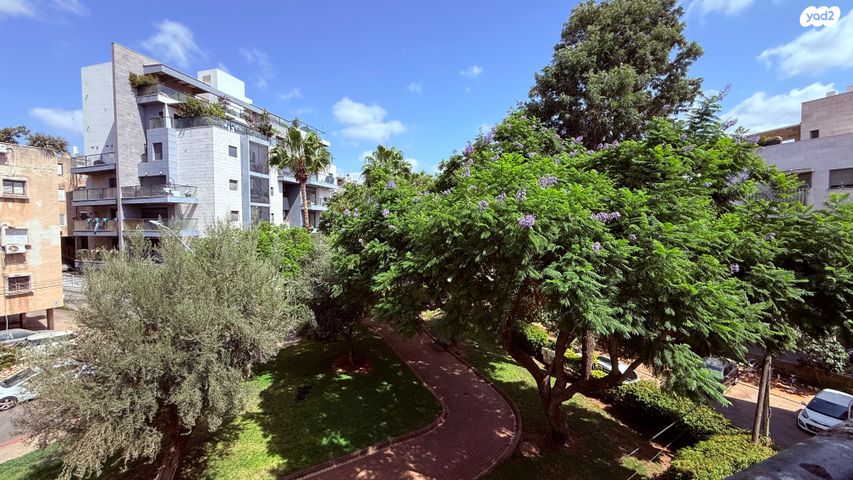 גג/ פנטהאוז, מוהליבר, הרצליה