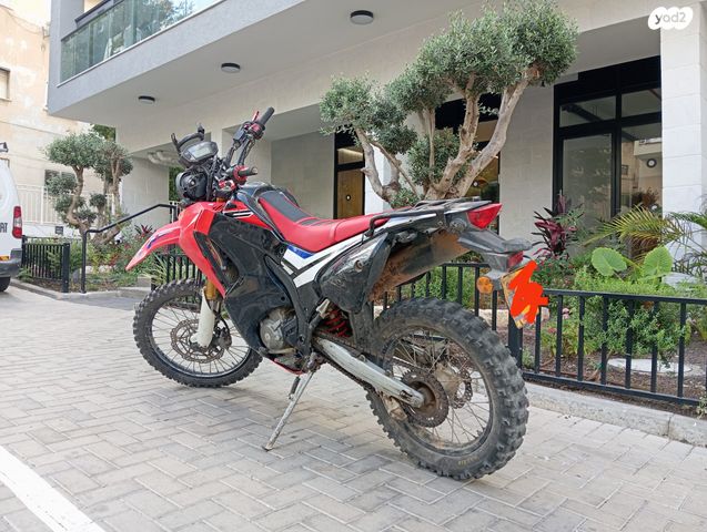הונדה CRF250 RALLY