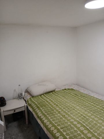 שמריהו לוין 27