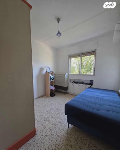 דירה, אשור, מגדים, כרמיאל