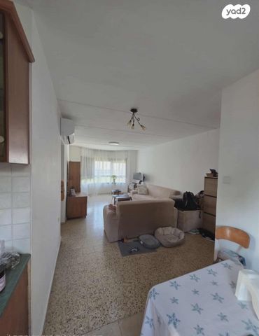 דירה, אשור, מגדים, כרמיאל