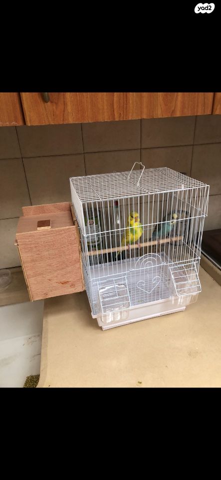 תמונת מודעה - חיות מחמד