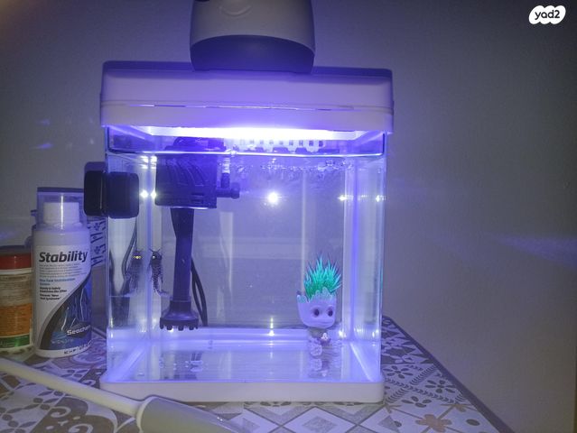 תמונת מודעה - חיות מחמד