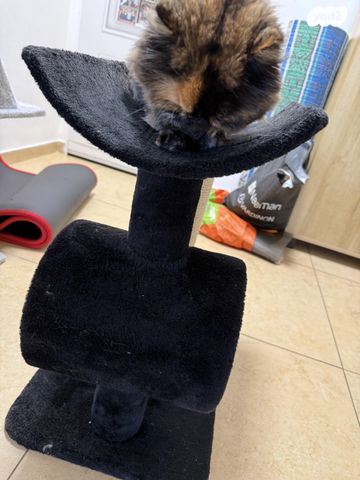 אביזרים | משחקים וצעצועים