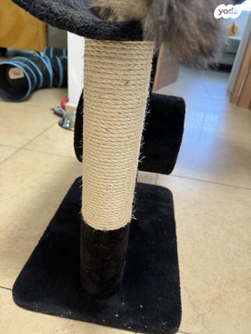 אביזרים | משחקים וצעצועים