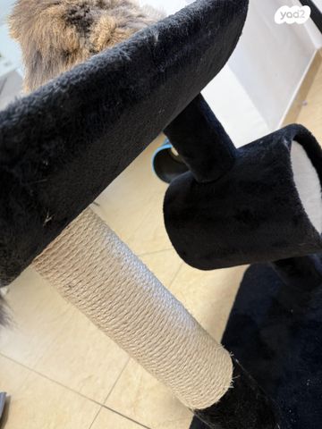 אביזרים | משחקים וצעצועים