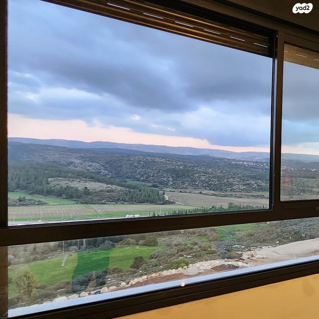 רועי קליין 29