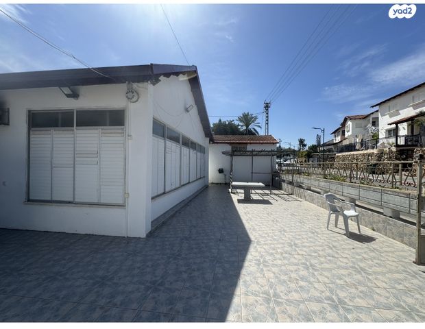 לילינבלום 50