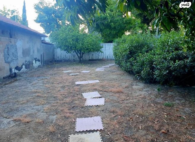 ישראל ישעיהו 1