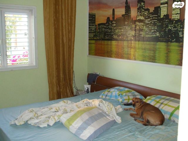 בית פרטי/ קוטג', עין עופרים 1, המעיינות, מצפה רמון