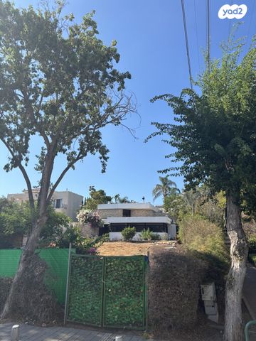 דילה רינה יוסף 14