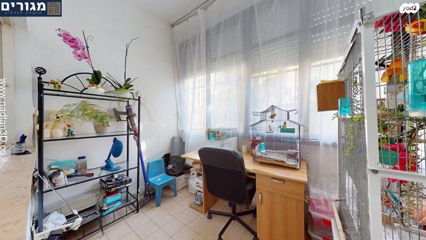 דירה, אילת, נווה שאנן, חיפה