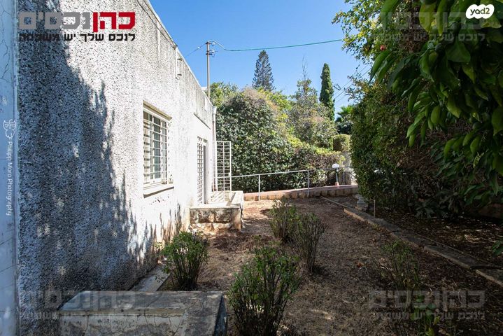 דו משפחתי, זיו, חיפה