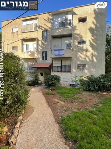 דירה, אילת, נווה שאנן, חיפה