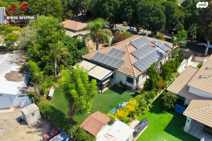 דרך הפיקוסים 